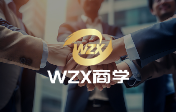WZX助贷联盟